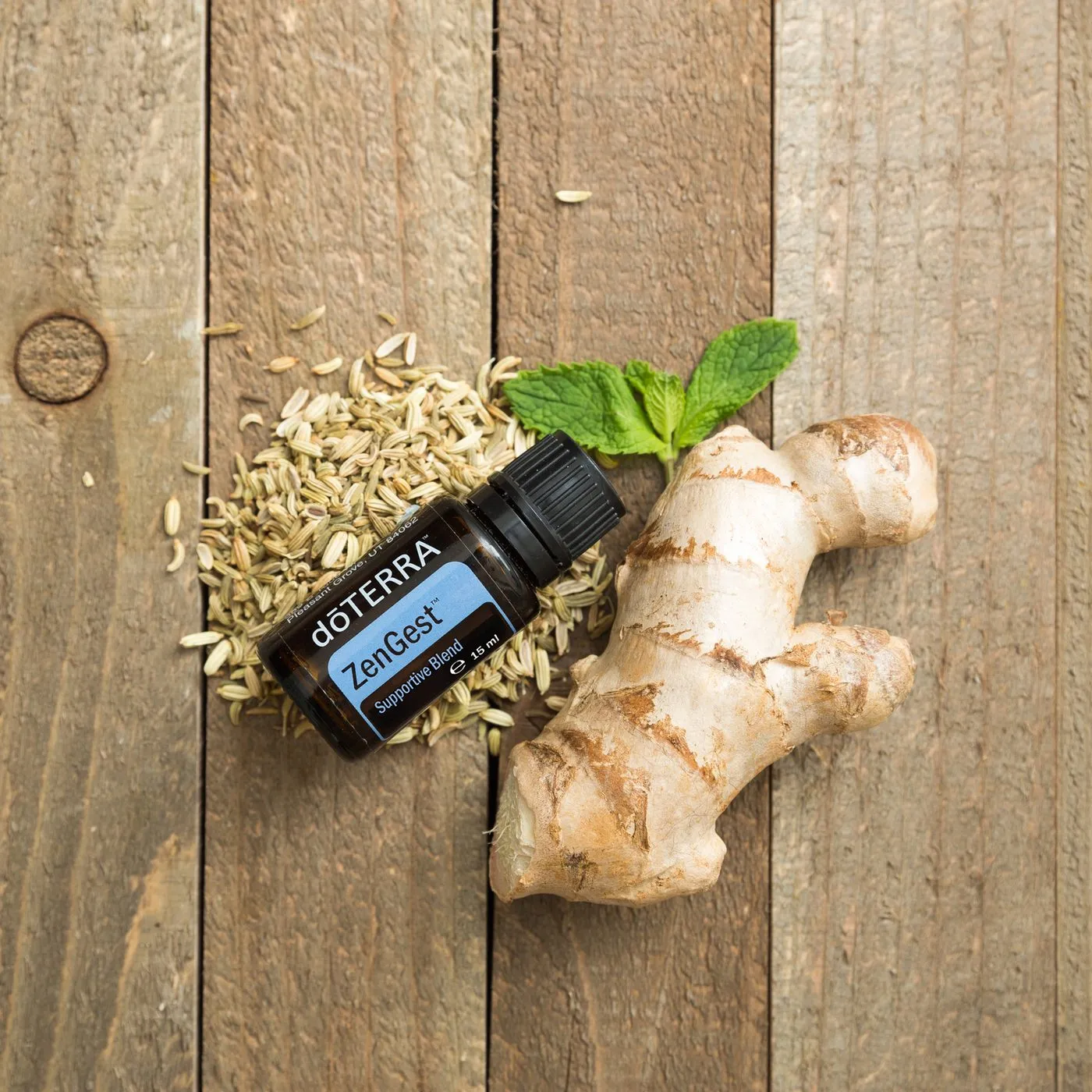 Óleo dōTERRA ZenGest 15ml — foto de estúdio
